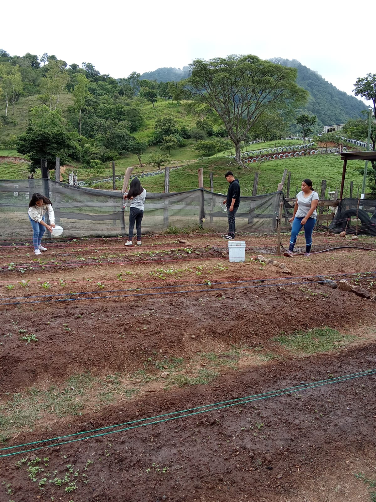 Youth in the field